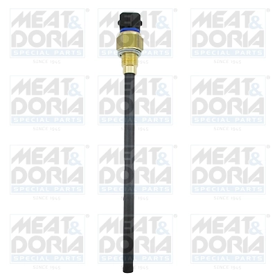 Sensor, engine oil level